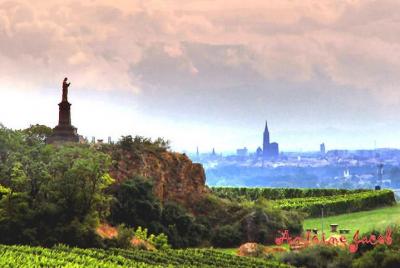 Visita guiada de un día a los viñedos de Alsacia con almuerzo desde Estrasburgo Visita guiada de un día a los viñedos de Alsacia con almuerzo desde Estrasburgo