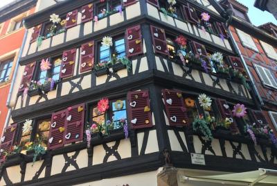 Alsacia Conviértete en un tour privado local con degustación de vinos, pueblos y visitas al castillo Alsacia Conviértete en un tour privado local con degustación de vinos, pueblos y visitas al castillo