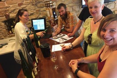 Tour "Le petit Alsacien" con conductor privado local amigable y un Tesla Tour