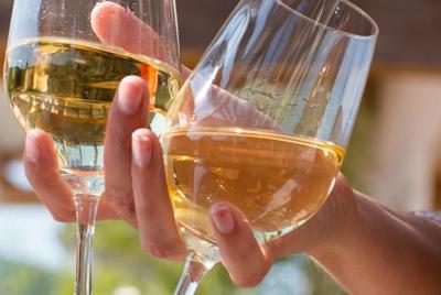 Descubrimiento y degustación de vino biodinámico en Alsacia Descubrimiento y degustación de vino biodinámico en Alsacia