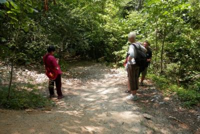 Cueva María Magdalena en la montaña Sainte Baume