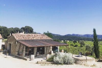 Tour de vino Bandol y degustación