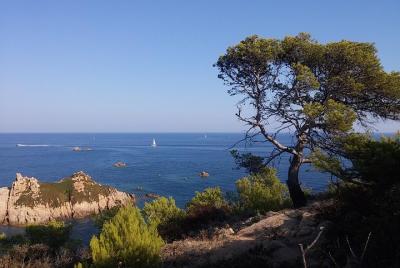 St Tropez y sus alrededores