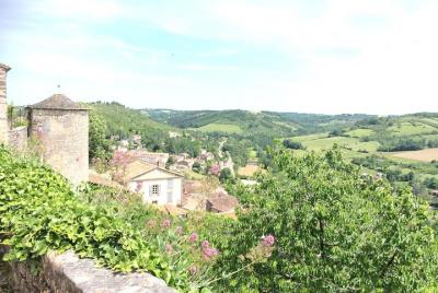 Excursión de un día a Albi y Cordes sur Ciel. Tour compartido desde Toulouse. Excursión de un día a Albi y Cordes sur Ciel. Tour compartido desde Toulouse.