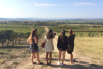 Excursión privada de un día a la ciudad de Carcasona y cata de vinos desde Toulouse Excursión privada de un día a la ciudad de Carcasona y cata de vinos desde Toulouse