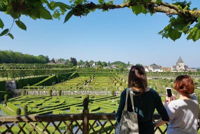 Excursión de un día al valle del Loira desde Tours: Villandry, l Excursión de un día al valle del Loira desde Tours: Villandry, l'Islette y 2 bodegas Vouvray