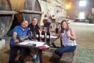 Tour del vino de Sicilia y experiencias gastronómicas en el área de Ragusa con conductor