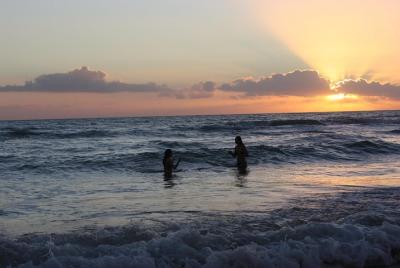 Transfer Aeropuerto - Servicio de Taxi - Escursioni - Acompañamiento - Info Turistiche