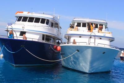 Paseo en barco de esnórquel por Ras Muhammed y White Island - Sha