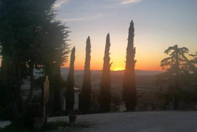 Tour del vino de Brunello y paisaje de Val D Tour del vino de Brunello y paisaje de Val D'Orcia