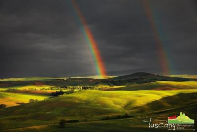 The Sharp Tuscany Tour - Del amanecer al atardecer - Photo Tour & Workshop The Sharp Tuscany Tour - Del amanecer al atardecer - Photo Tour & Workshop