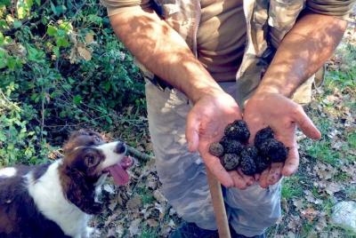 La verdadera caza de trufas en Abruzzo