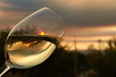 Degustación de vinos y almuerzo de Ascoli Piceno.