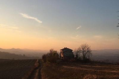Degustación y visita a la bodega en el corazón de Monferrato.