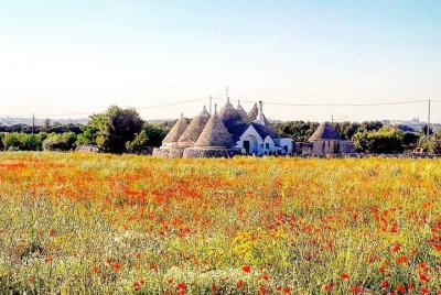 Excursión de un día completo: Bari Puglia, Trulli de Alberobello, el Castel del Monte y Sassi de Matera