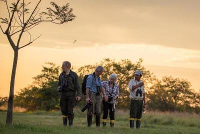 Excursión de lujo de 6 días a las cataratas del Iguazú y las marismas de Ibera