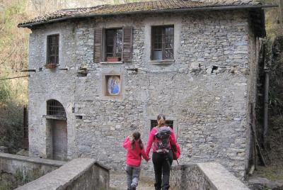 Caminata en grupos pequeños desde Varenna Caminata en grupos pequeños desde Varenna