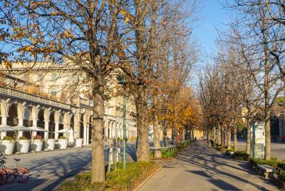 Visite Bérgamo y su Ciudad Baja entre las calles comerciales (mínimo 2 personas) Visite Bérgamo y su Ciudad Baja entre las calles comerciales (mínimo 2 personas)