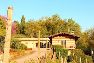 Descubriendo los vinos de Franciacorta Descubriendo los vinos de Franciacorta
