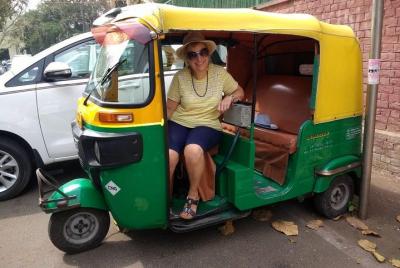 Visita del Museo de Delhi con Tuk Tuk (Auto Rickshaw)