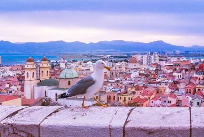 Excursión a pie por Cagliari