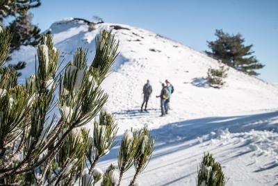 Experiencia clásica de invierno Etna Experiencia clásica de invierno Etna