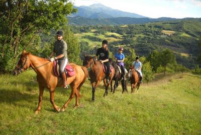 Tour privado a caballo en el campo siciliano con almuerzo en una histórica granja