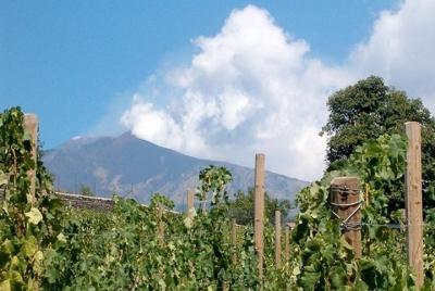 Visita privada a las bodegas del Etna con degustación de vinos. Visita privada a las bodegas del Etna con degustación de vinos.