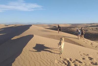 Viaje al desierto en Jeep 1 día