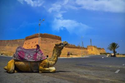 Agadir City Tour, Croco park y Massage Hamam (Pack)