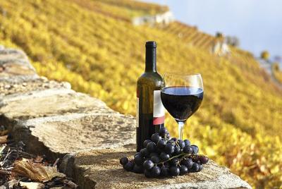 Lo mejor de los colores y sabores de Chianti Lo mejor de los colores y sabores de Chianti