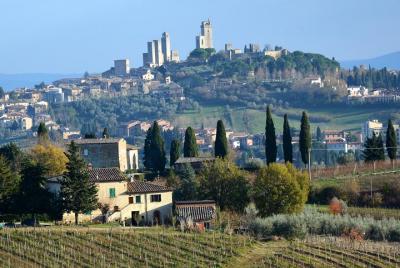 Tour privado por el día de la Toscana: San Gimignano y la región vinícola de Chianti desde Florencia Tour privado por el día de la Toscana: San Gimignano y la región vinícola de Chianti desde Florencia
