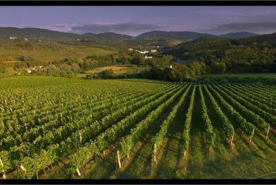 Pura experiencia de cata de vinos toscanos en Podere Ema cerca de Florencia Pura experiencia de cata de vinos toscanos en Podere Ema cerca de Florencia