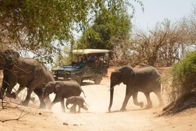 2 días en el parque nacional de Hwange desde las cataratas Victoria