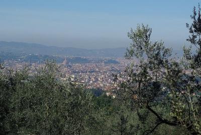 Cueva de la Fiesole Cueva de la Fiesole