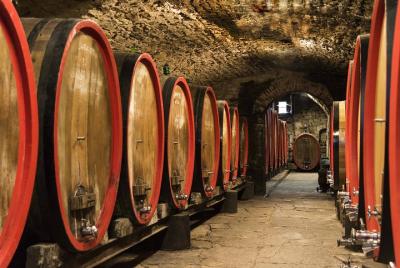 Recorrido por 900 años de bodegas secretas + degustación de 3 vinos y pan con aceite EVO Recorrido por 900 años de bodegas secretas + degustación de 3 vinos y pan con aceite EVO