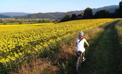 Tierra de pintores: los orígenes del paisaje toscano. Tierra de pintores: los orígenes del paisaje toscano.