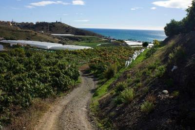 Ruta tropical, aguacates y mangos - Grupo pequeño, degustación y almuerzo incluidos. Ruta tropical, aguacates y mangos - Grupo pequeño, degustación y almuerzo incluidos.
