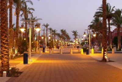 City Tour VIP con comida de mar, gran mezquita y cátedra copta - 