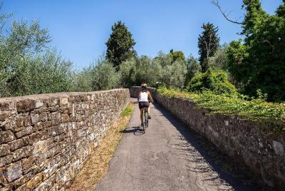 Excursión en bicicleta por la Toscana desde Florencia con cata de vino y aceite de oliva