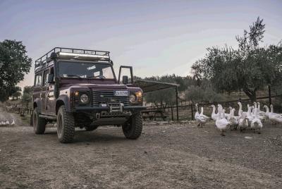 Safari nocturno y aperitivo cerca de Florencia Safari nocturno y aperitivo cerca de Florencia