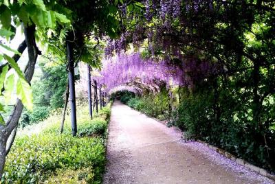 Visita Privada a los Jardines de Florencia Visita Privada a los Jardines de Florencia