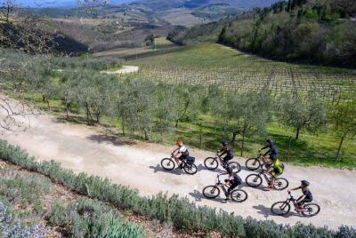 Descubriendo Chianti, tour en bicicleta - 1 día - Fácil Descubriendo Chianti, tour en bicicleta - 1 día - Fácil