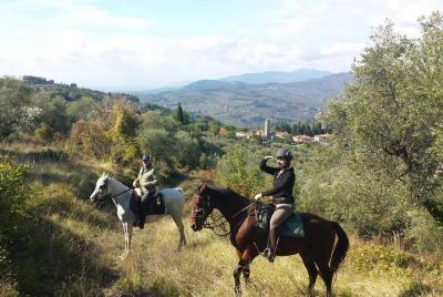 Paseo a caballo con degustación de aceite de oliva y almuerzo en una mansión medieval. Paseo a caballo con degustación de aceite de oliva y almuerzo en una mansión medieval.