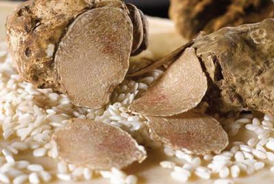 Tour de los amantes de la trufa Tour de los amantes de la trufa