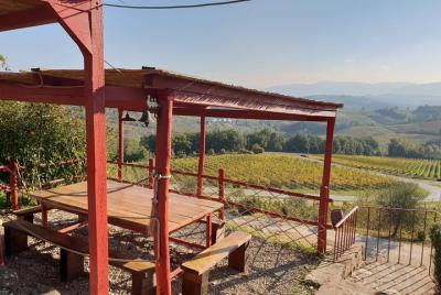 Vino y comida en Chianti Classico medio día desde Florencia Vino y comida en Chianti Classico medio día desde Florencia