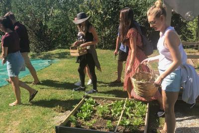 Visita granja, bodega, viñedos con clase de cocina Visita granja, bodega, viñedos con clase de cocina