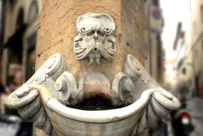 Florencia: el curioso Oltrarno, audio autoguiado en tu teléfono