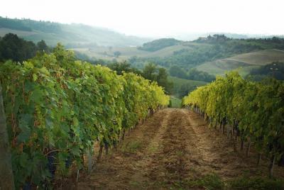 Enotrekking Enotrekking