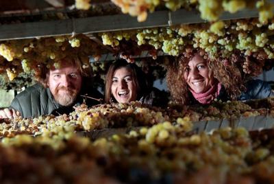 La experiencia del vino Piazzano: descubre una bodega familiar cerca de Florencia La experiencia del vino Piazzano: descubre una bodega familiar cerca de Florencia